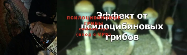 спиды Медвежьегорск