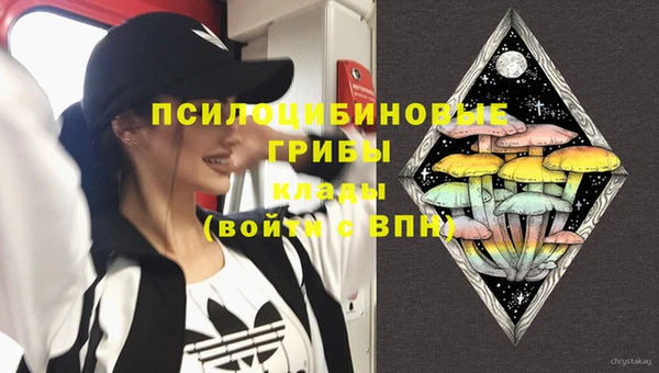 spice Мегион