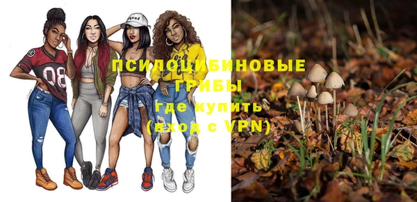 спиды Медвежьегорск